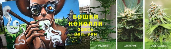 соль курить ск Богданович